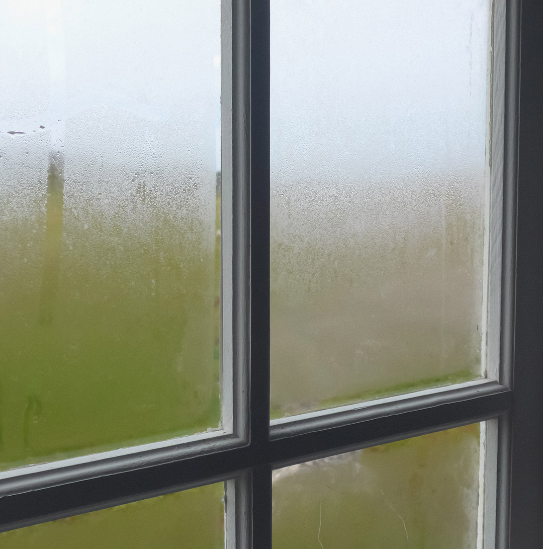 Dew on Window 2022