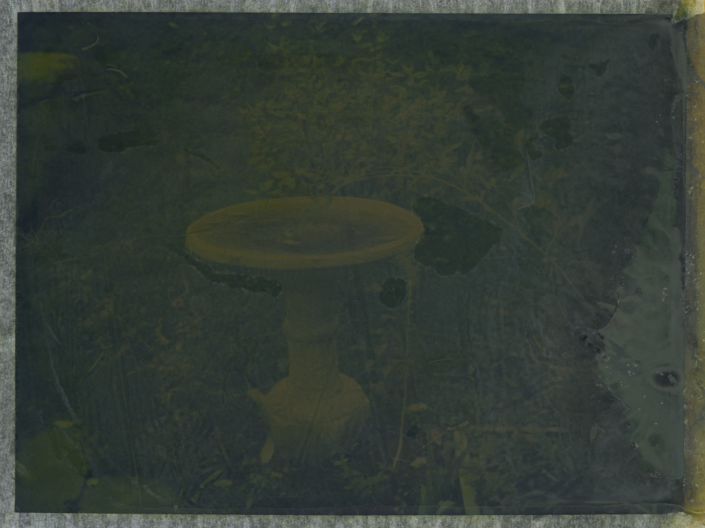 Birdbath (reverse Polaroid image) 2022