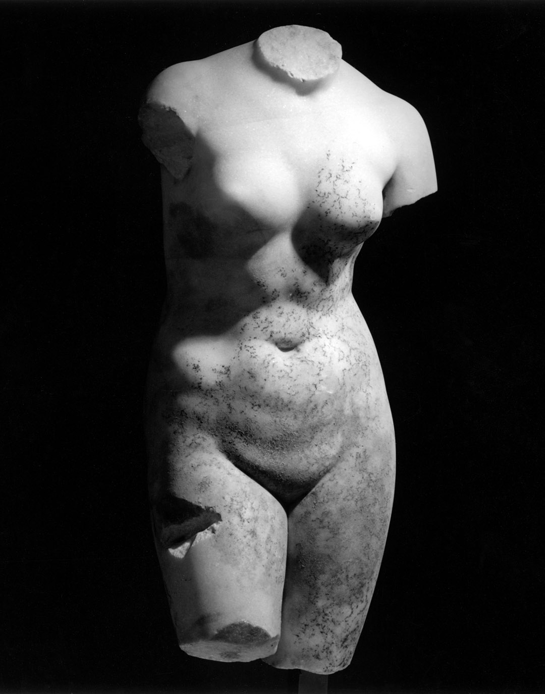 163 Female Torso 1978