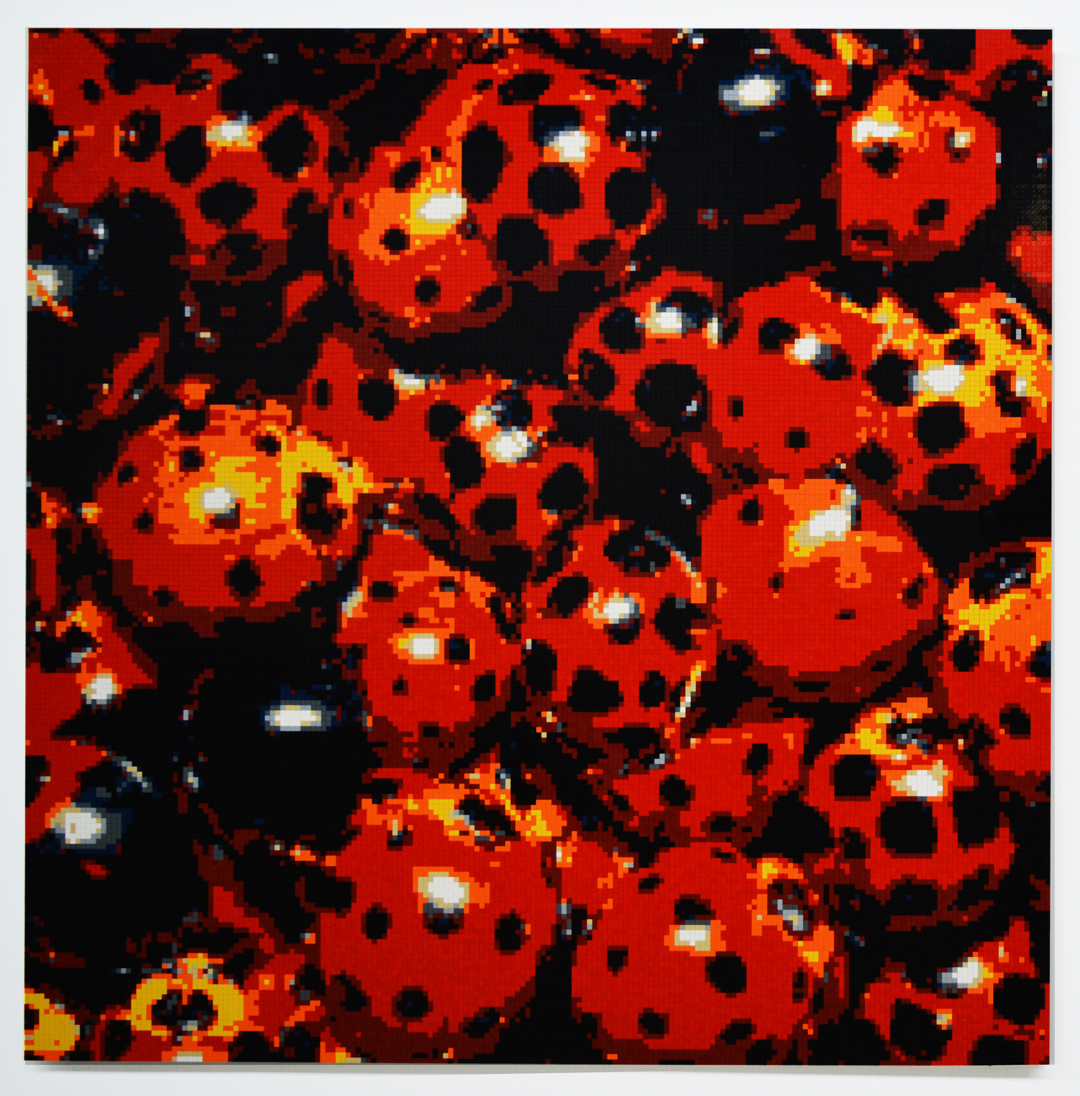 Matt Donovan Ladybugs 2016