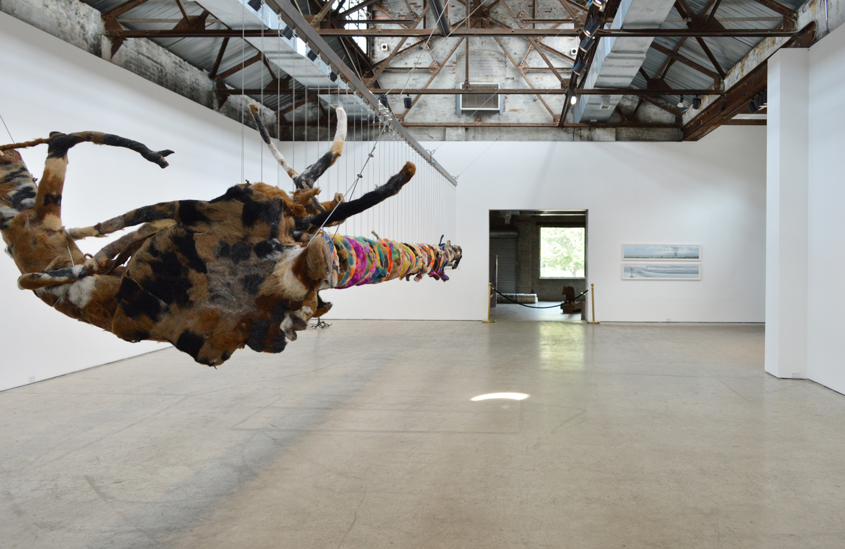 Installation View 7 Forests May Lie 2020