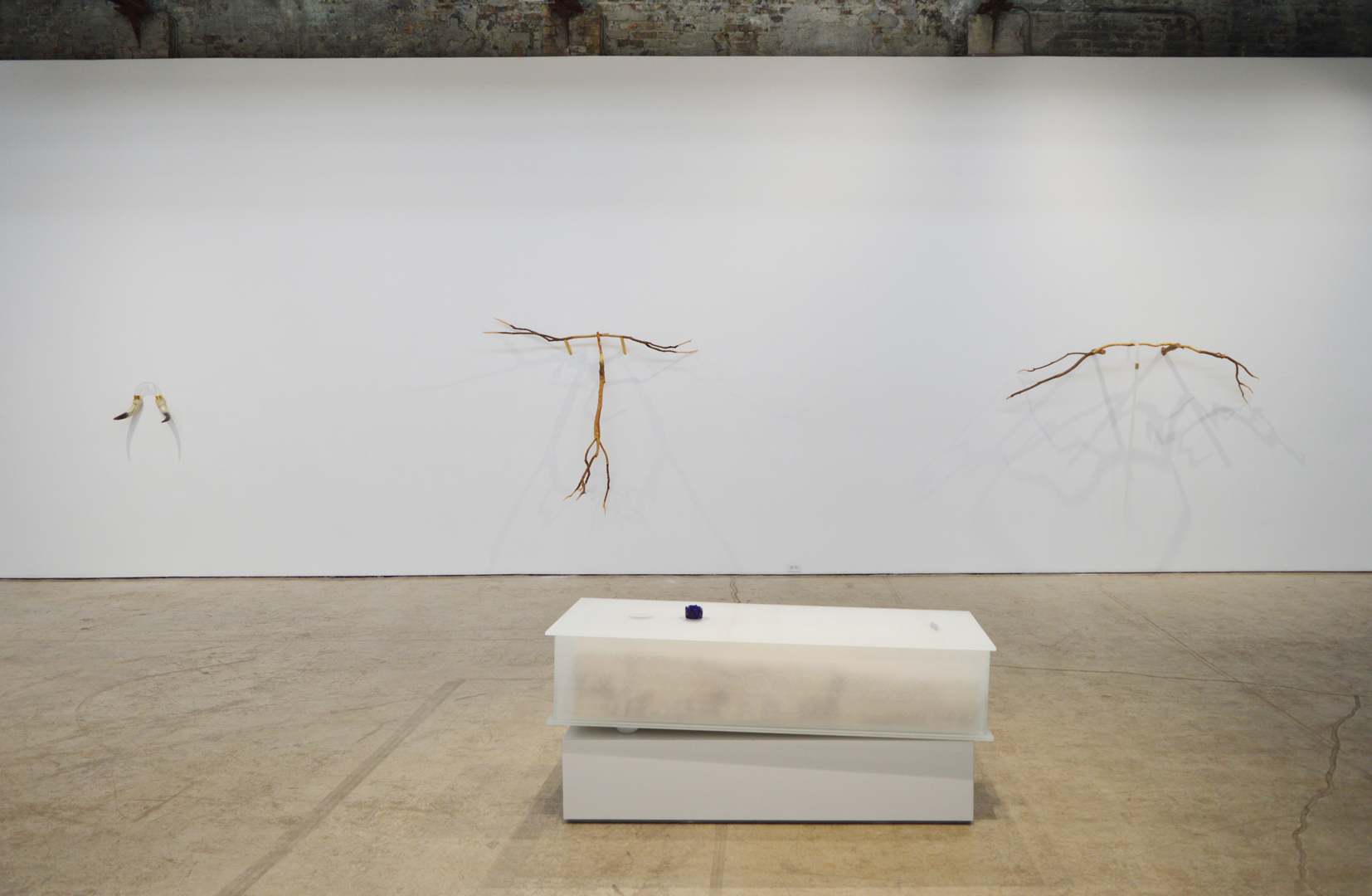 Installation View 3 Suspend 2019