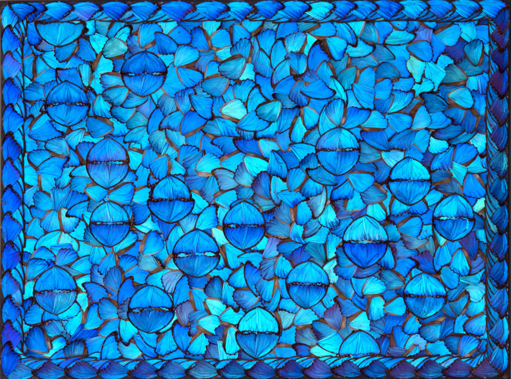 morphomonochrome (Icarus) 2020