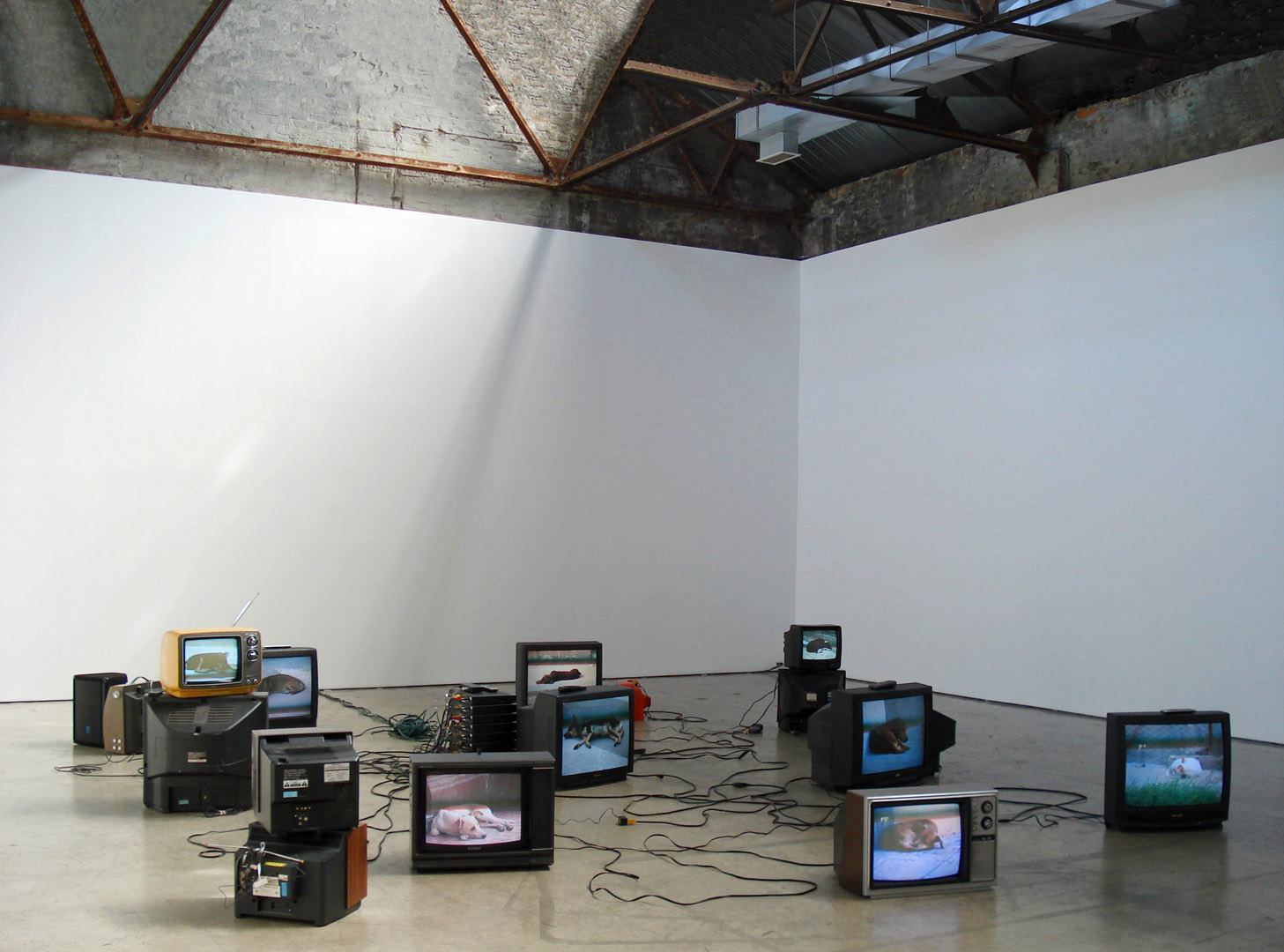 Installation View 2 Los Soñadores 2010