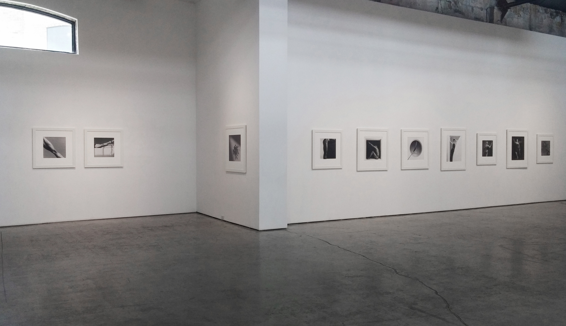 Installation View 1 Flesh & Stone 2015