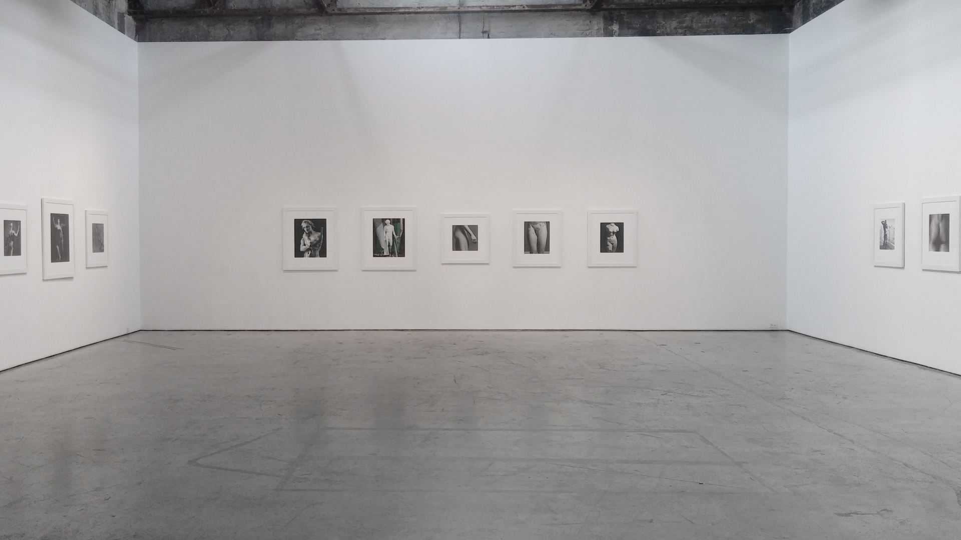 Installation View 2 Flesh & Stone 2015