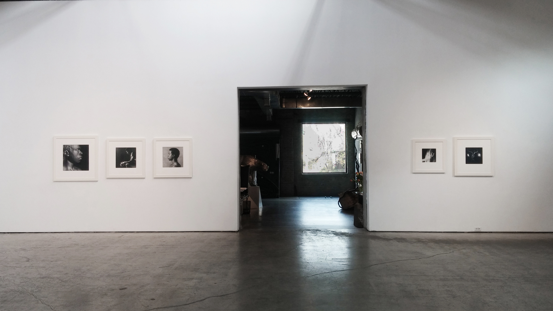 Installation View 4 Flesh & Stone 2015